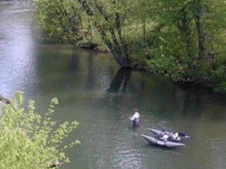 Creek Fishing