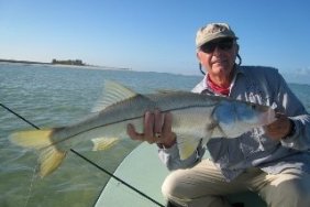 snook