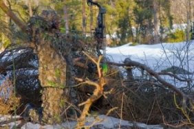 bowhunter-camoflauge