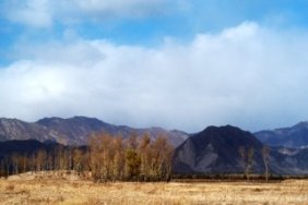 Wilderness