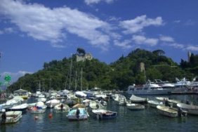 Boats in Harbor