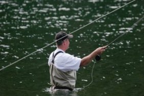 waders