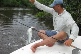 backcountry_tarpon