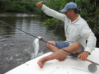 backcountry_tarpon