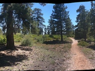 Zion Park Hikes