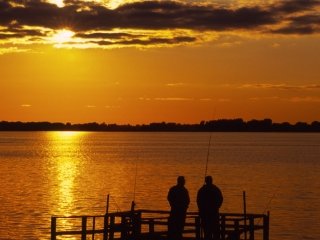 Friends Fishing