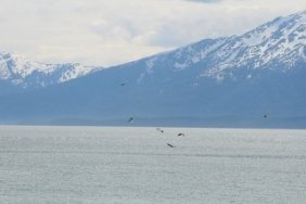 Alaska Mountains