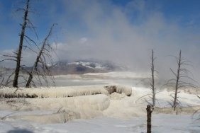 Yellowstone in the winter months