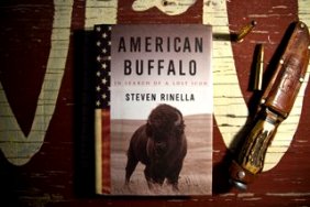 American Buffalo