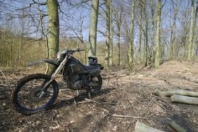 Dirt bike in woods