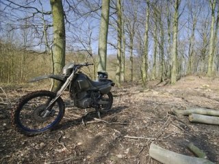 Dirt bike in woods