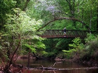 Trailheadin': Turkey Creek Trail - LiveOutdoors