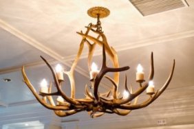 Antler Lamp