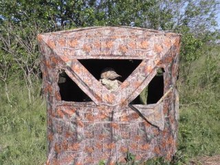 Ground Blind