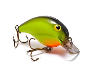 How to Fish Timber - LiveOutdoors