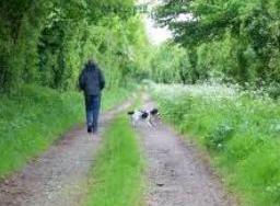 Man and His Dog