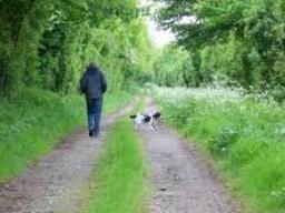 Man and His Dog