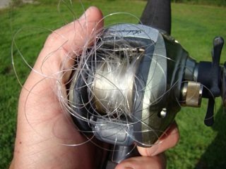 choosing a fishing rod and reel Best Size Rod & Reel For Inshore Flats Fishing (For Small Trout To Big  Redfish)