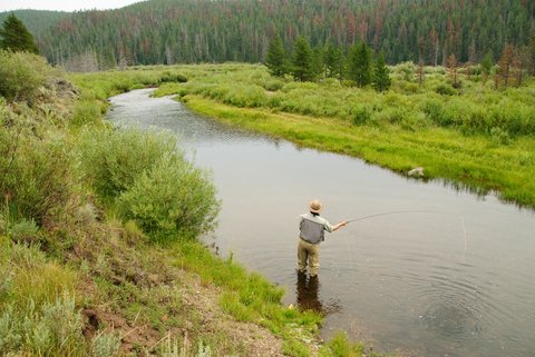 Fishing Raning Spring 5 Most Iconic Spring Fishing Spots in the West - LiveOutdoors