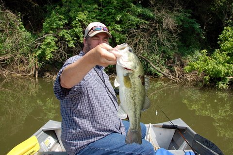 How to Use Nail Weights for More Bass - LiveOutdoors