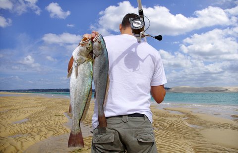 Top 3 Lures for Surf Fishing - LiveOutdoors