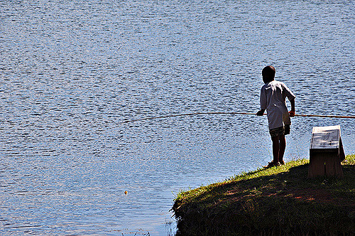 How to Go Low-Tech with a Cane Pole - LiveOutdoors