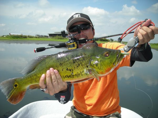 5 Best Peacock Bass Fishing Spots in Florida - Best Fishing in America