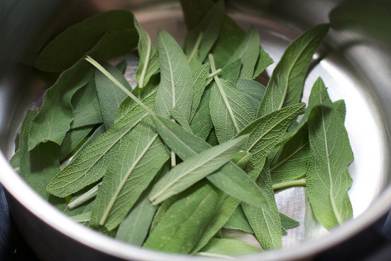 Burn sage to keep mosquitoes away