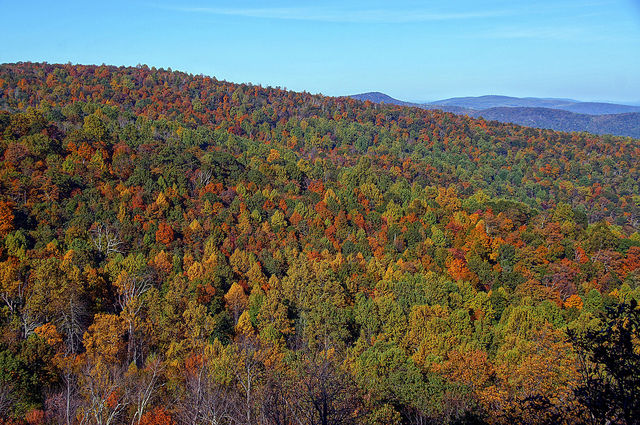 Shenandoah National Park, Virginia