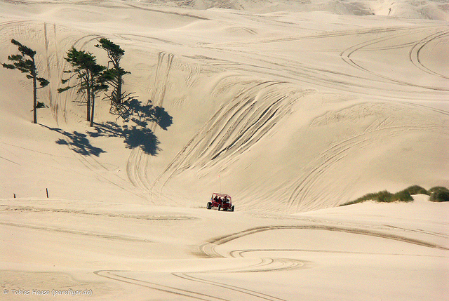 Oregon Dunes National Recreation Area