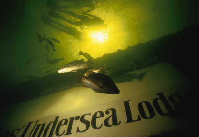 Jules Undersea Lodge, Key Largo