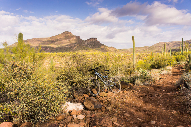 Cave Creek Classic Loop