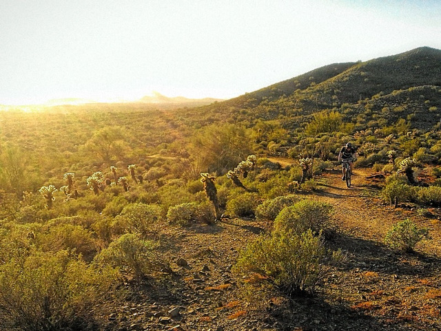 Sonoran Figure 8