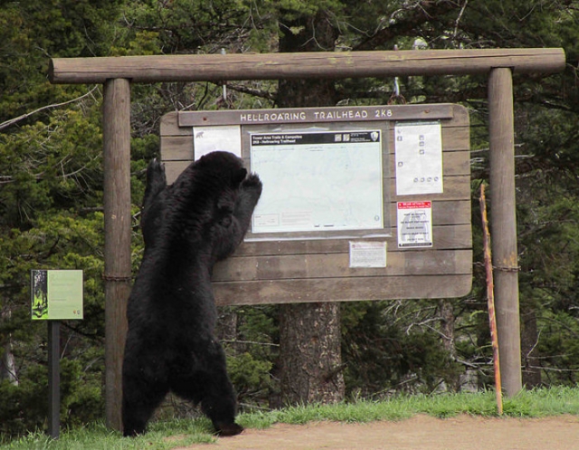 Now, which way to the campground
