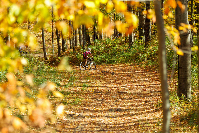 High Country Pathway, Michigan