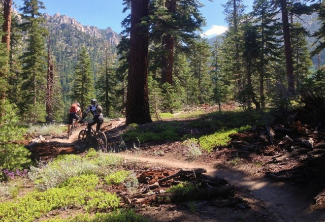 Armstrong to Strawberry, California