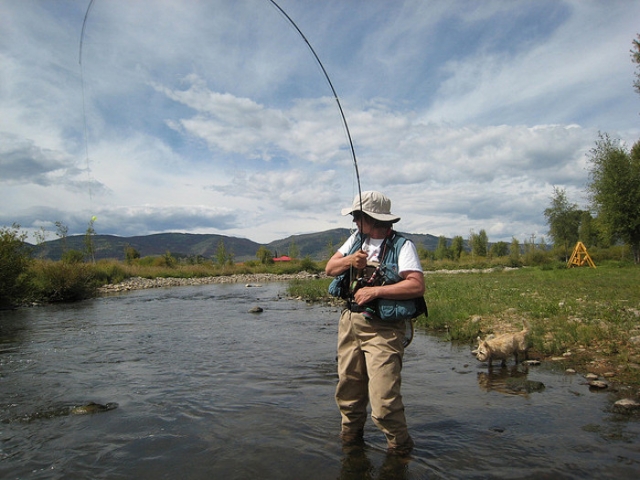 Fishing Waders