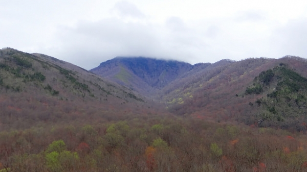 Norton Creek Trail – Great Smoky Mountains