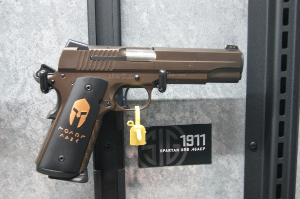 SIG Sauer Spartan .45