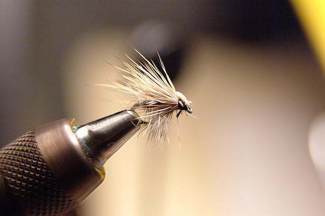 Elk Hair Caddis