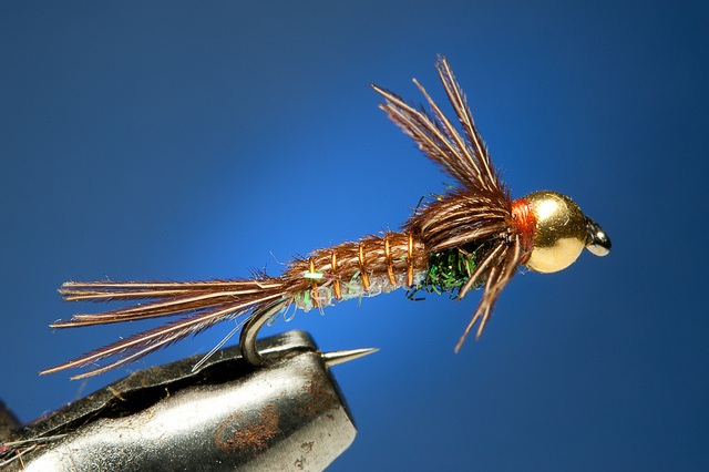 Pheasant tail nymph