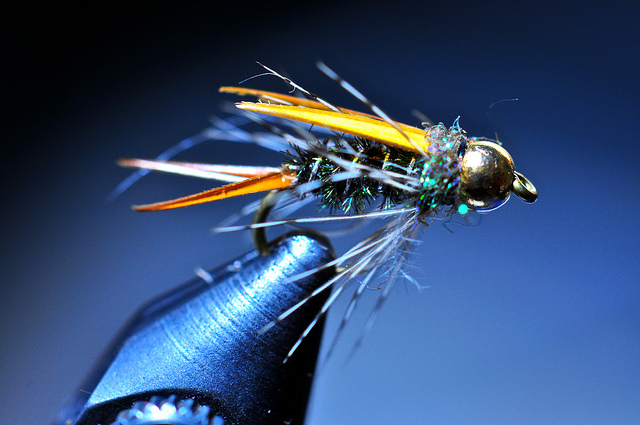 Prince nymph