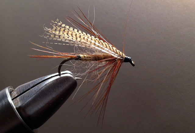 Soft Hackle